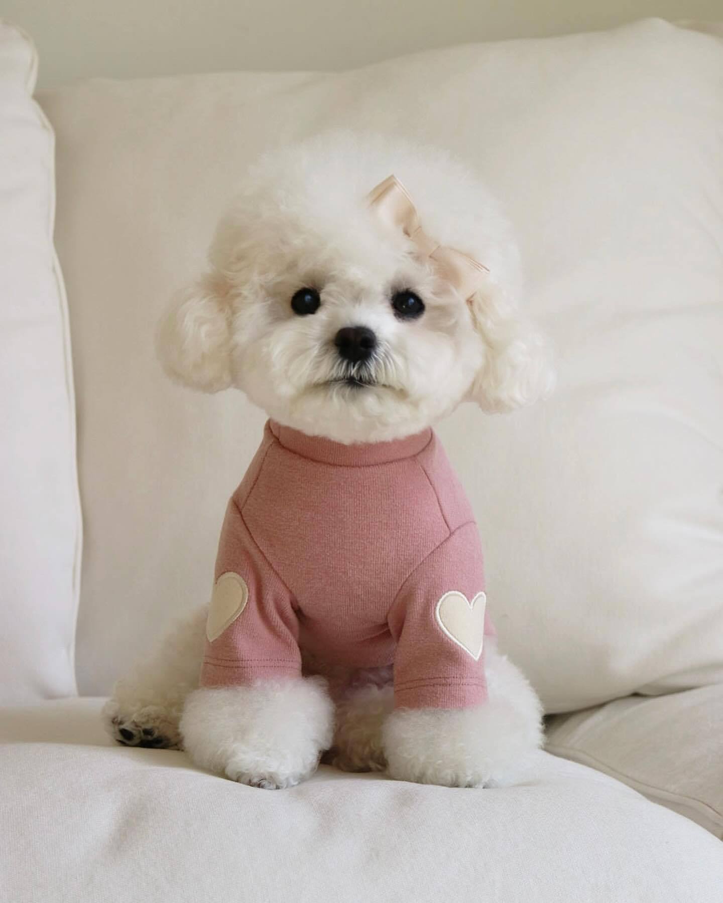 Fleece Dog Hoodie