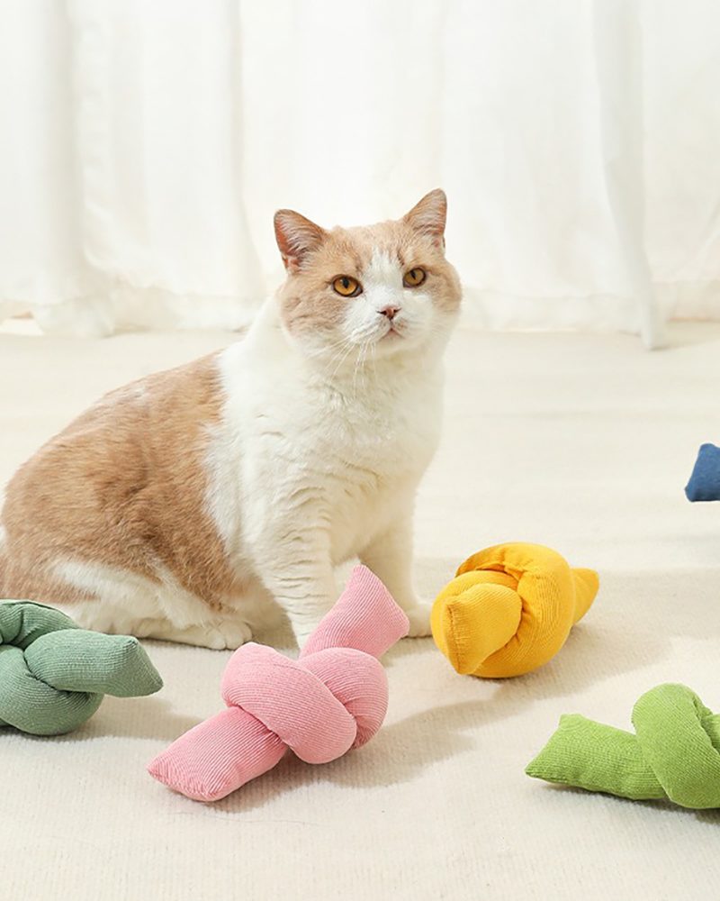 Knotted Rope Toy