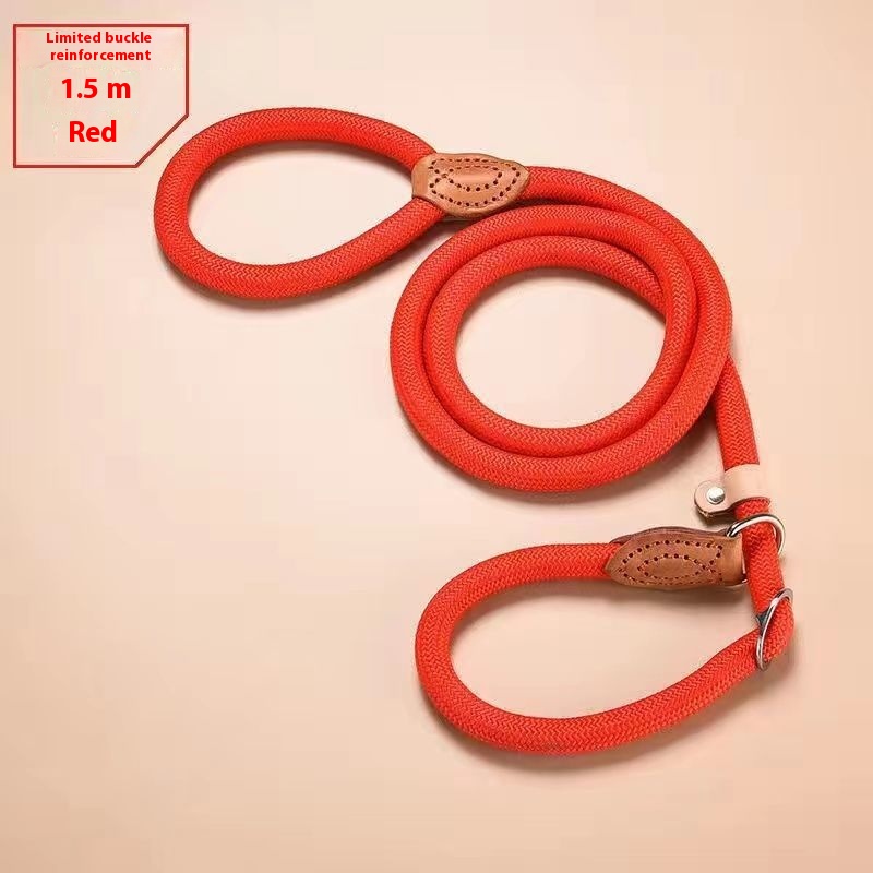 Slip Training Lead