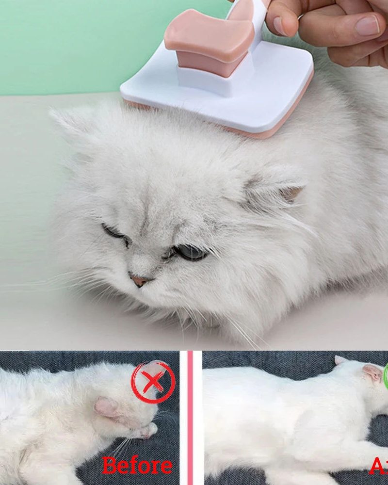 Soft Slicker Brush